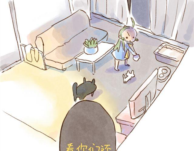 有猫在，不睡觉-第22话