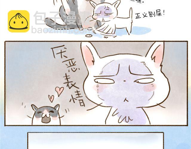 猫是勇于表达情绪的生物-第24话