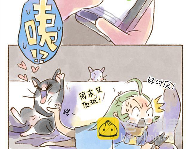 猫是勇于表达情绪的生物-第24话