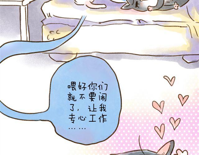 猫是勇于表达情绪的生物-第24话