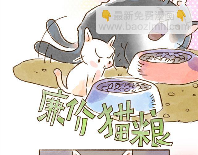 猫是勇于表达情绪的生物-第24话