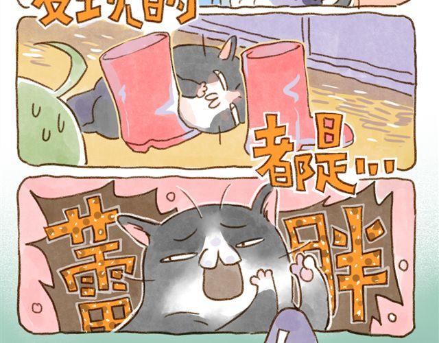 只要用手摸就能知道是家里哪只猫-第26话