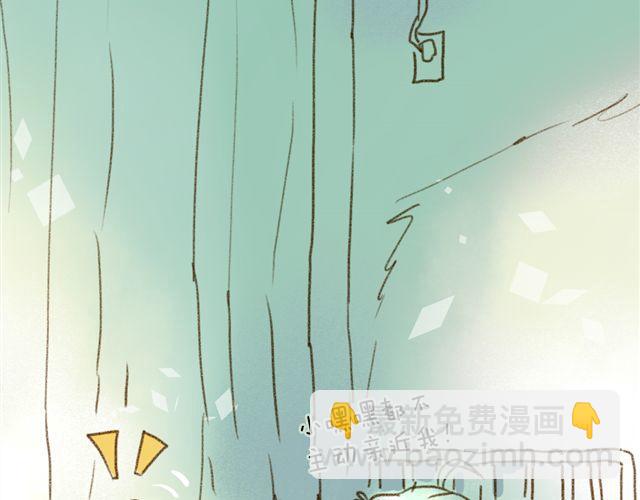 只要用手摸就能知道是家里哪只猫-第26话
