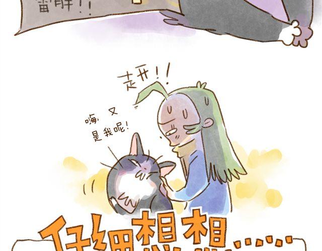 只要用手摸就能知道是家里哪只猫-第26话