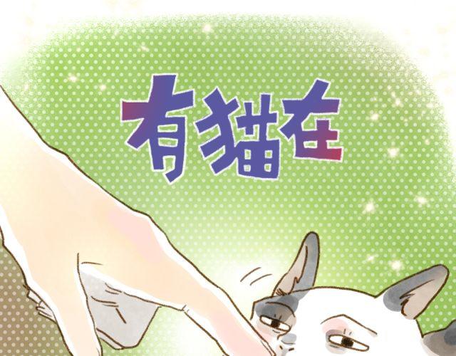 召唤猫的方法-第28话