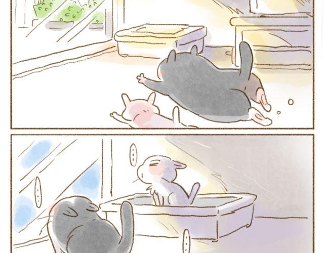 召唤猫的方法-第28话