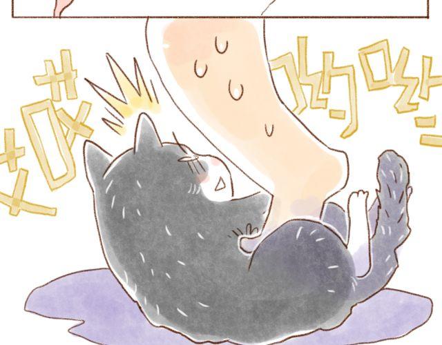 甘愿被猫咪妨碍的人生-第30话