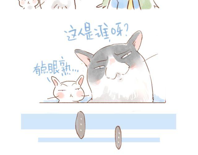 甘愿被猫咪妨碍的人生-第30话