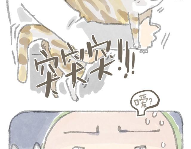蕾胖机关枪-第4话