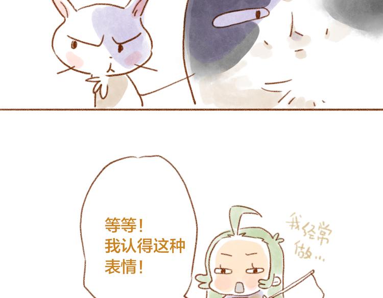 被猫鄙视了！-第48话