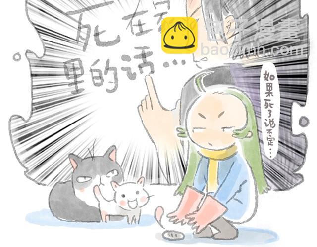 被猫鄙视智商的我-第6话