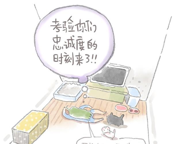 被猫鄙视智商的我-第6话