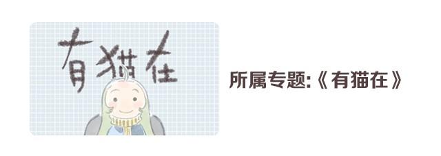 被猫鄙视智商的我-第6话
