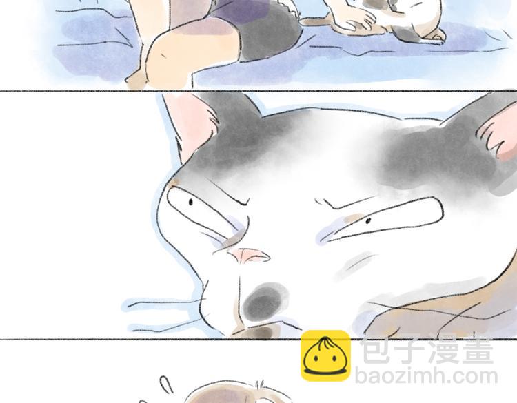 取得猫咪信任的方法-第54话