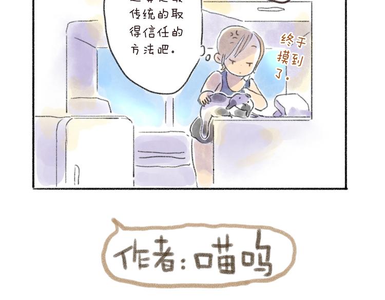 取得猫咪信任的方法-第54话