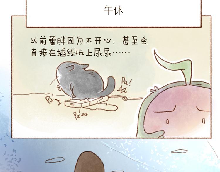 猫粮不要随意扔在地上哦-第68话