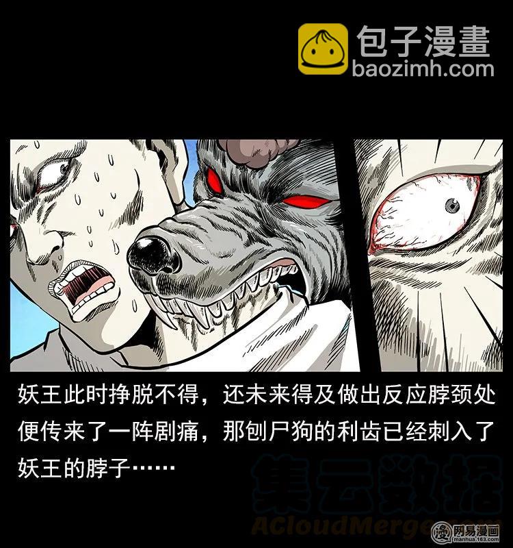 🍜幽冥诡匠 109 妖仙刨尸狗 第13页