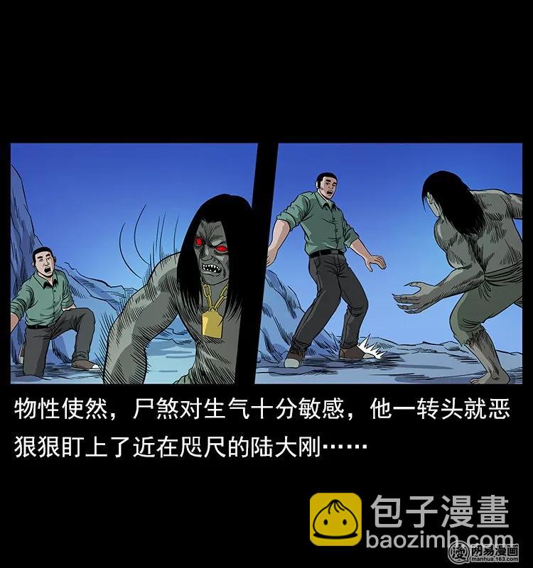 🍜幽冥诡匠 118 天宝仙牌 第12页