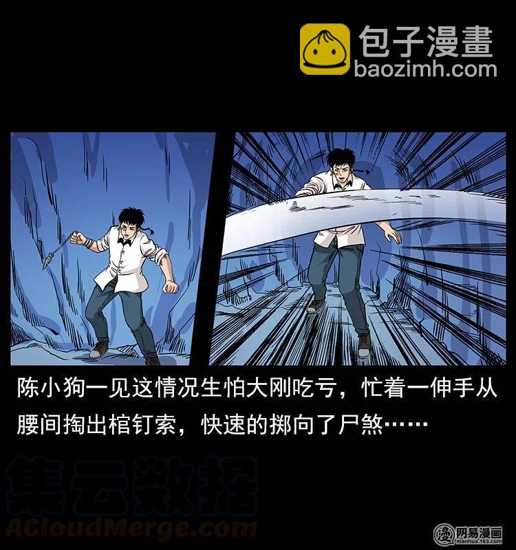 🍜幽冥诡匠 118 天宝仙牌 第13页