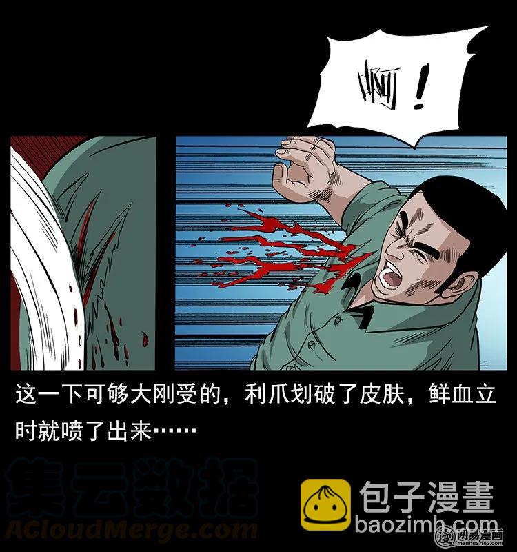 🍜幽冥诡匠 118 天宝仙牌 第17页