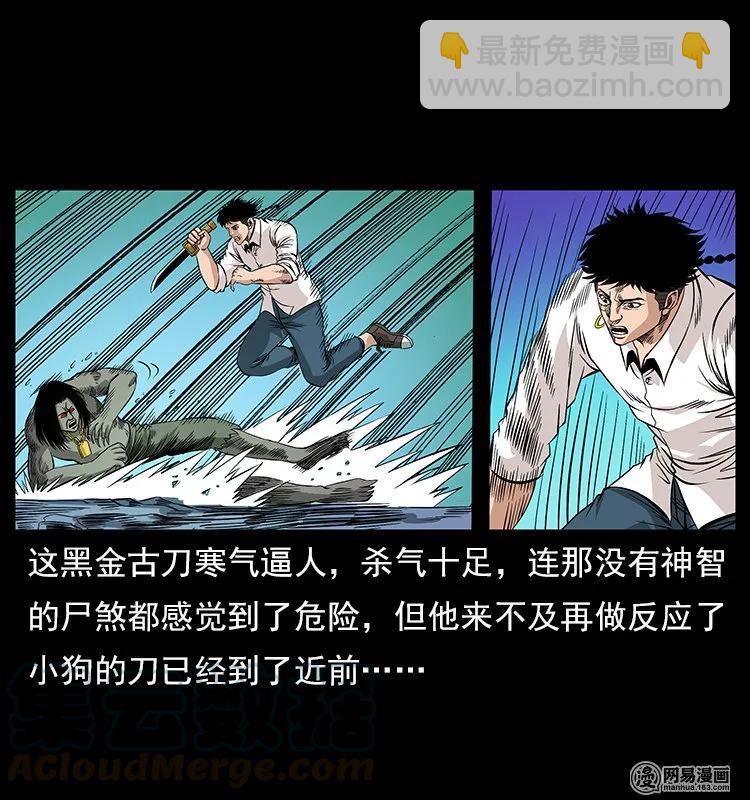 🍜幽冥诡匠 118 天宝仙牌 第21页