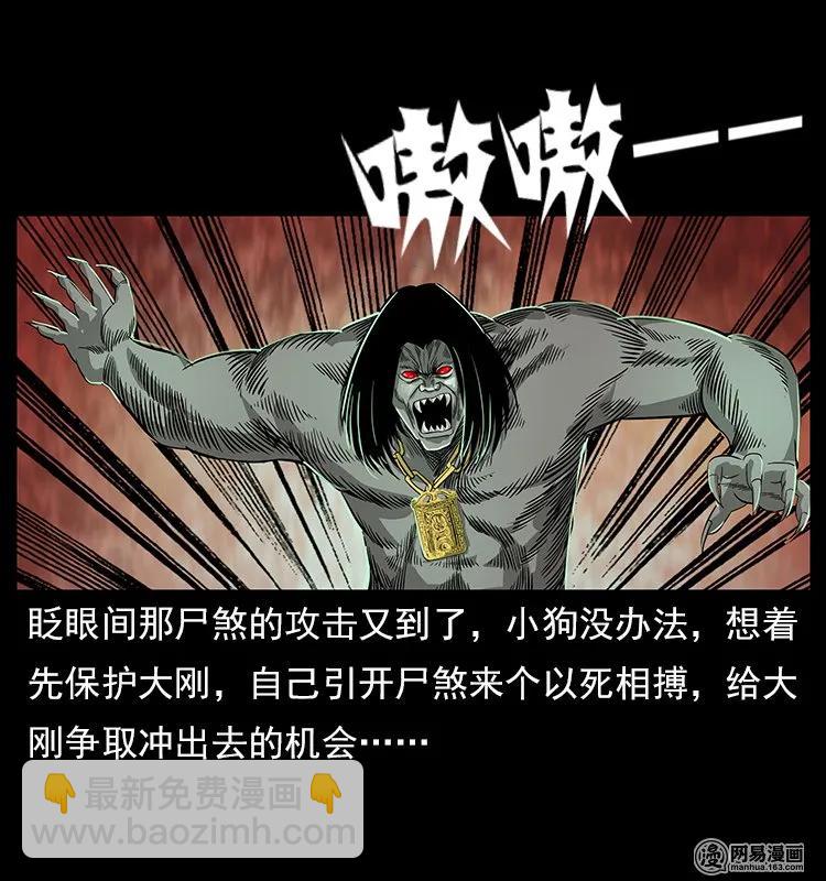 🍜幽冥诡匠 118 天宝仙牌 第36页
