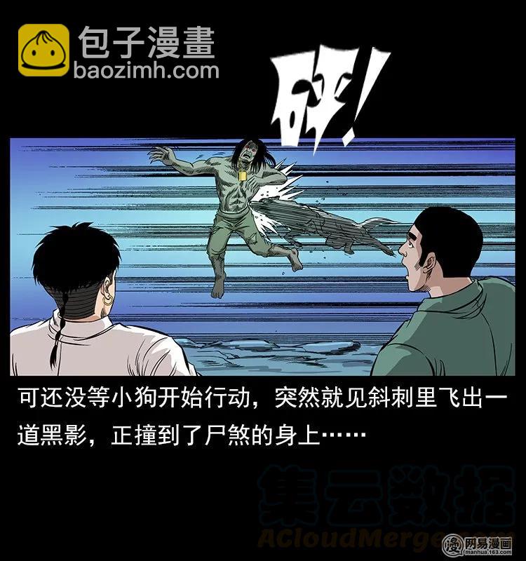 🍜幽冥诡匠 118 天宝仙牌 第37页