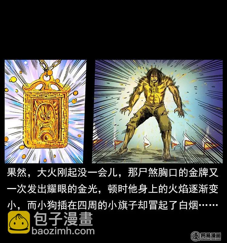 🍜幽冥诡匠 118 天宝仙牌 第4页