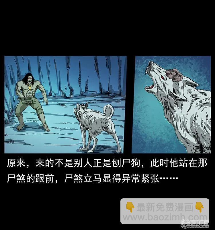 🍜幽冥诡匠 118 天宝仙牌 第40页