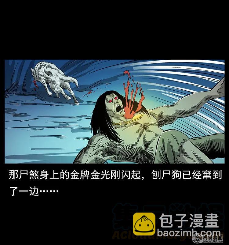 🍜幽冥诡匠 118 天宝仙牌 第45页