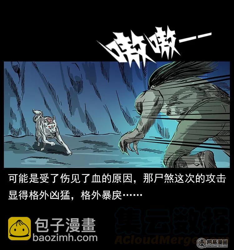 🍜幽冥诡匠 118 天宝仙牌 第49页