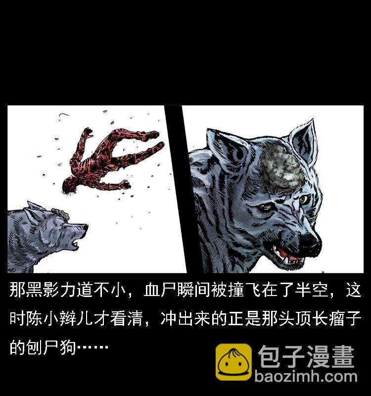 🍜幽冥诡匠 014 斗血尸 第29页