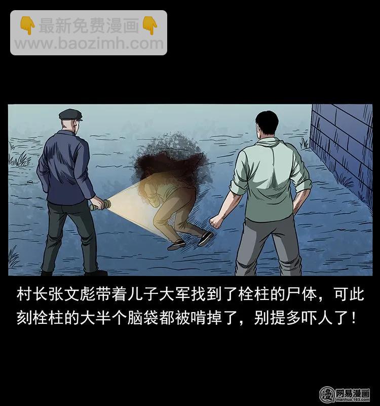 🍜幽冥诡匠 136 插树沟尸魃 第2页