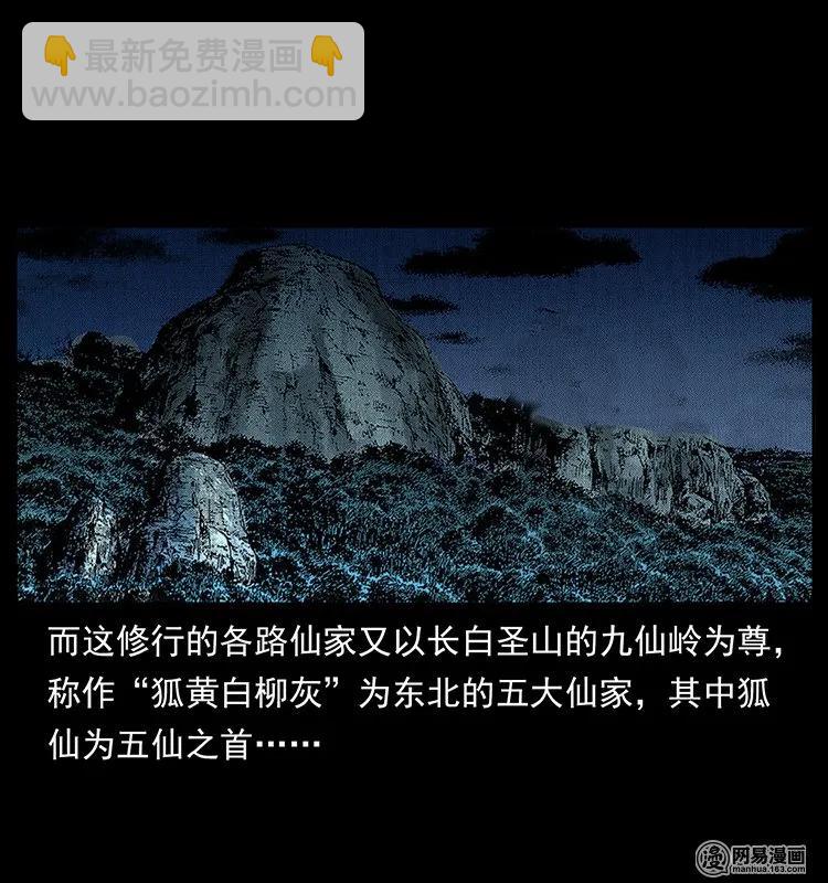 🍜幽冥诡匠 142 黑狐 第14页