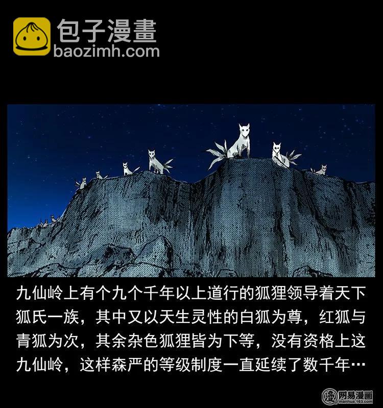 🍜幽冥诡匠 142 黑狐 第15页