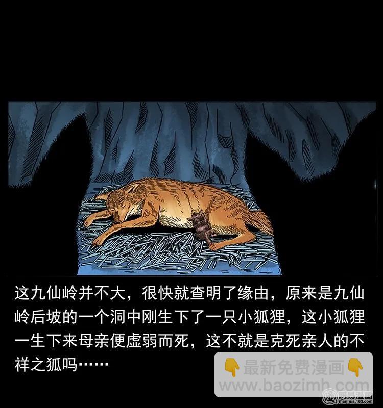 🍜幽冥诡匠 142 黑狐 第18页