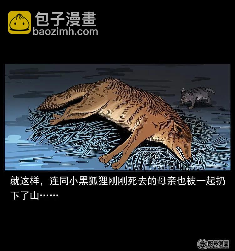🍜幽冥诡匠 142 黑狐 第22页
