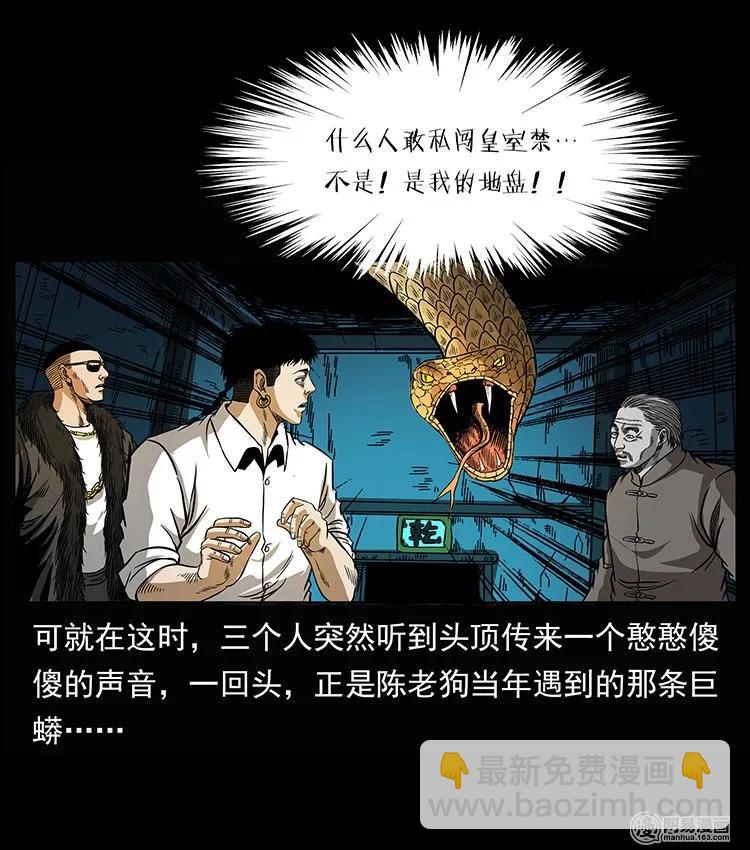 🍜幽冥诡匠 144 下山 第47页