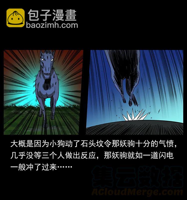 🍜幽冥诡匠 158 妖驹的选择 第17页
