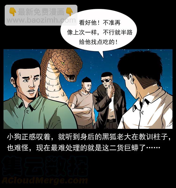 🍜幽冥诡匠 160 李老太太 第17页