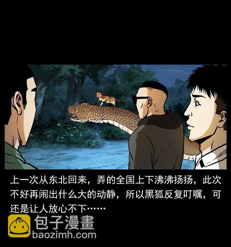 🍜幽冥诡匠 160 李老太太 第18页