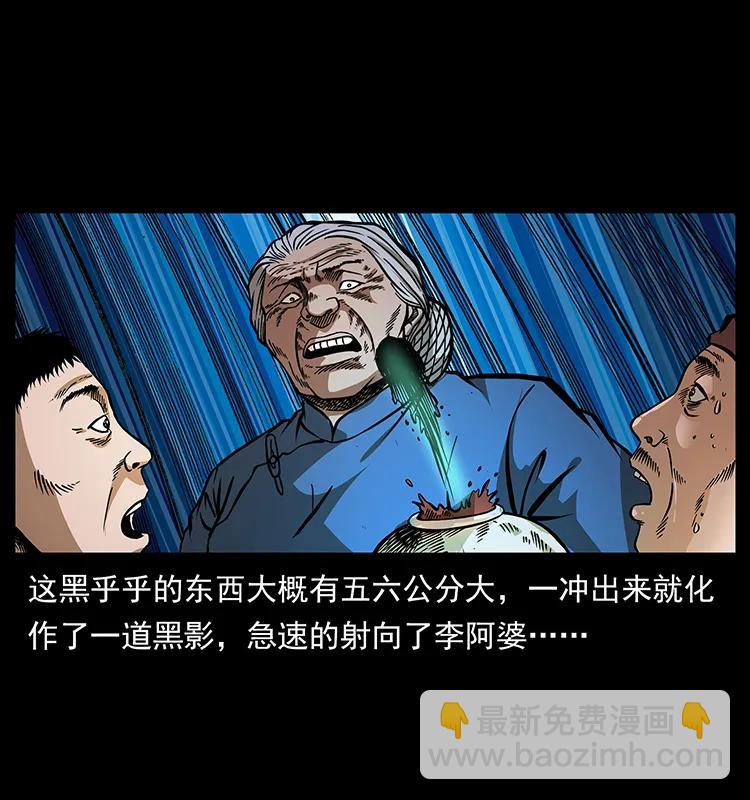 🍜幽冥诡匠 160 李老太太 第46页