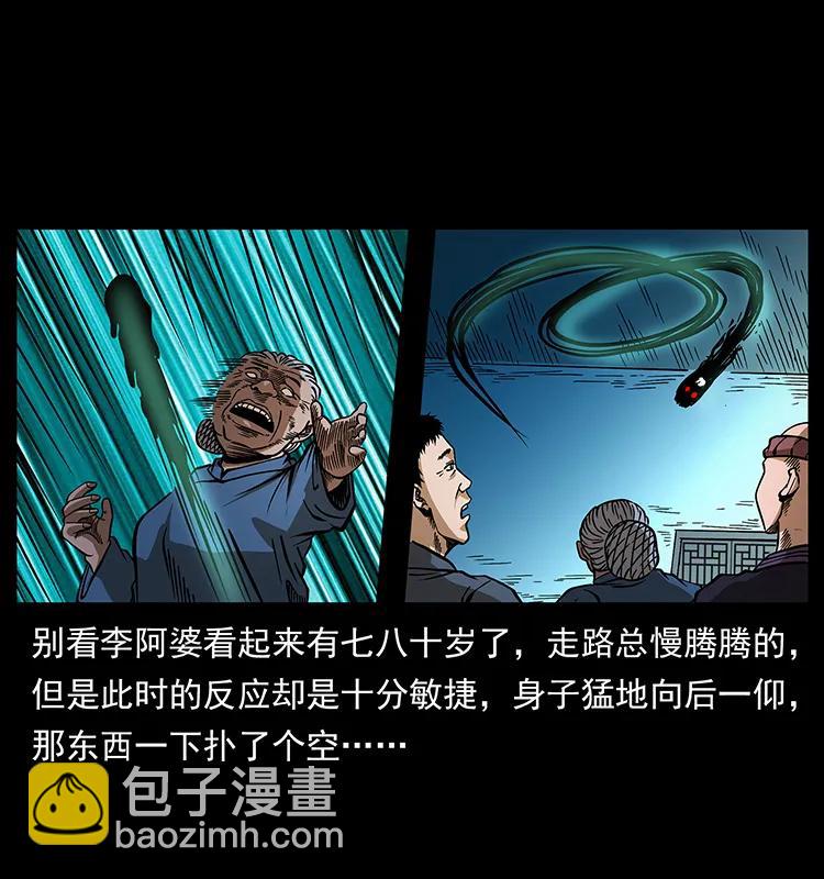 🍜幽冥诡匠 160 李老太太 第47页