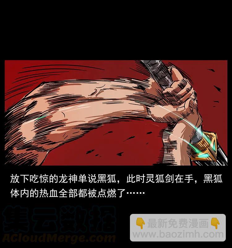 🍜幽冥诡匠 200 灵狐剑 第13页
