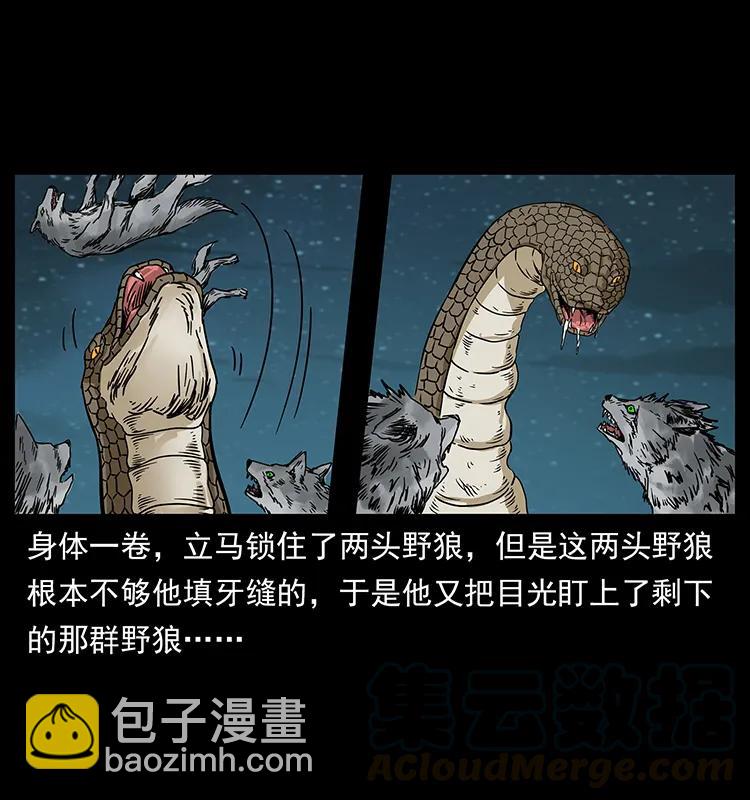 🍜幽冥诡匠 212 草原深处 第41页
