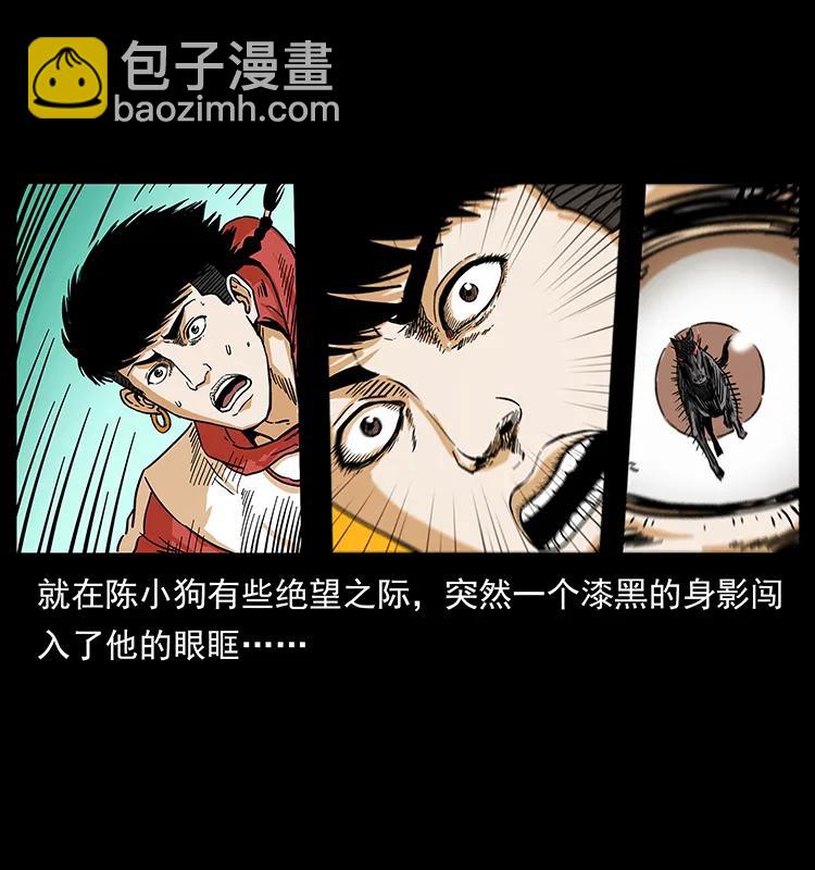 🍜幽冥诡匠 220 漠北白狼王 第50页