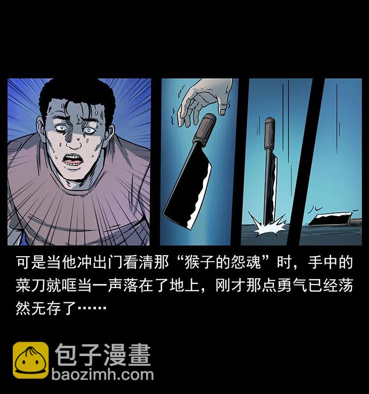 🍜幽冥诡匠 228 凶兽 第44页