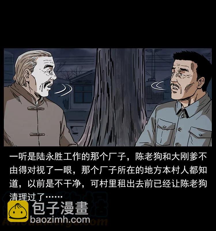 🍜幽冥诡匠 230 生桩 第13页