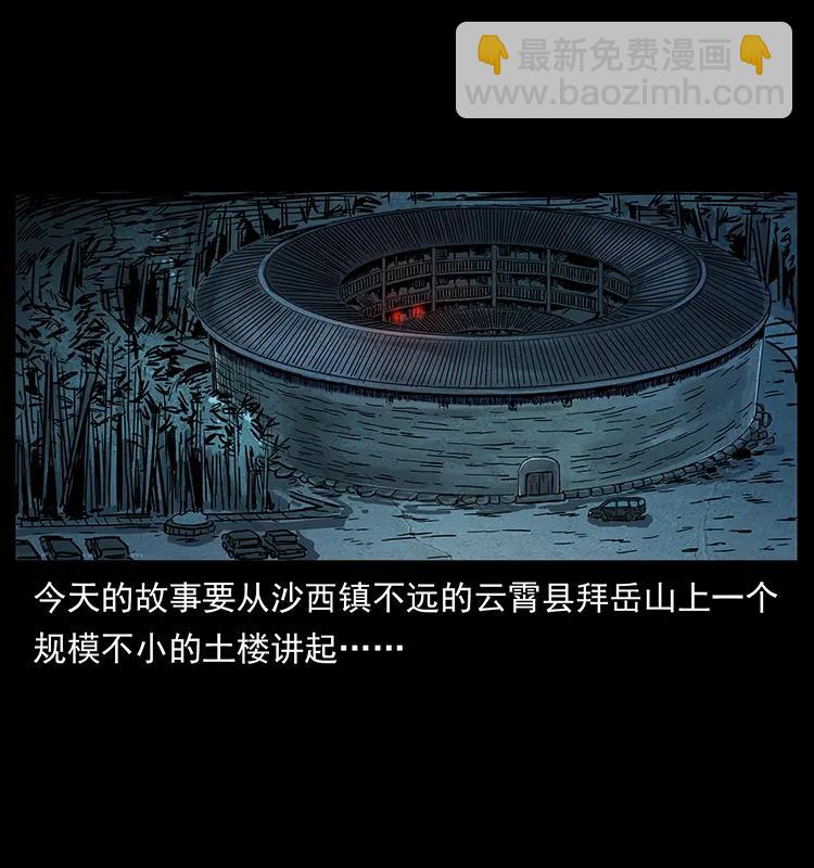 🍜幽冥诡匠 234 养鬼人的地盘 第2页
