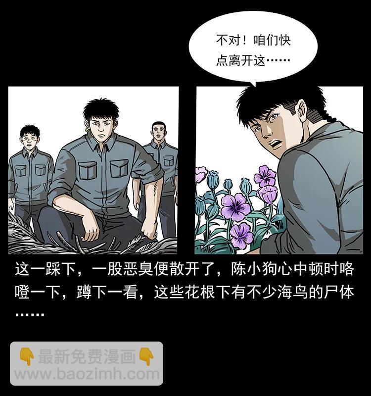 🍜幽冥诡匠 236 神秘的小岛 第47页